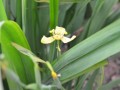 Tn 0547 DSC 5870